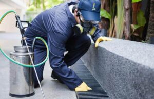 Cagliari, nuova disinfestazione contro i topi in via Lanusei