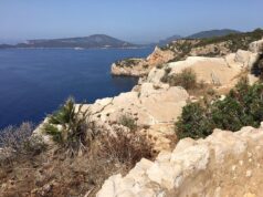 Ambiente, Punta Giglio: associazioni Grig, Lipu e Wwf chiedono tutela delle specie animali punta giglio