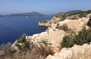 Ambiente, Punta Giglio: associazioni Grig, Lipu e Wwf chiedono tutela delle specie animali punta giglio