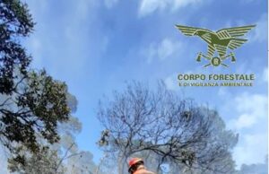 Incendi, l’Isola brucia: a Sinnai va in fumo 1 ettaro di pineta