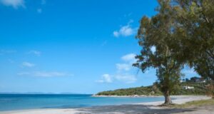 Bandiera Blu a Sant’Antioco: al via due iniziative su educazione ambientale Sant'Antioco - Maladroxia