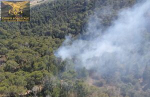 Vasto incendio a Sinnai: in azione un elicottero della Forestale