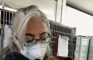 Oristano: allarme randagismo e cani padronali vaganti nelle campagne e nelle periferie