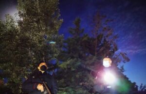 Cagliari: blitz ‘Dogs Square’, smantellata un’organizzazione di spacciatori a Mulinu Becciu