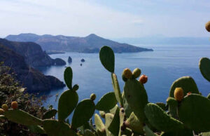 Covid, avviato piano esistente per la vaccinazione nelle isole minori