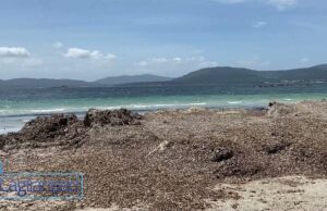 Alghero, dura protesta del centro sinistra sulla condizione delle spiagge