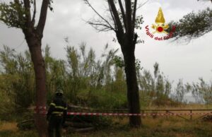 Grosso ramo cade da un albero a Cuglieri: intervengono i Vigili del fuoco