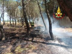Sedilo, fiamme vicino al cimitero: in azione vigili del fuoco e forestale