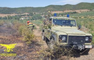 Vasto rogo a Oschiri: in azione un elicottero della Forestale