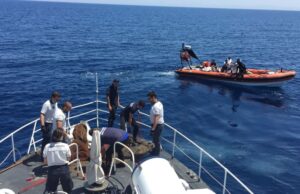 Porto Torres: sub della GC recuperano 400 kg di reti fantasma a Fiume Santo