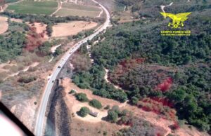 In Sardegna divampano 14 incendi: su 4 intervengono elicotteri Forestale