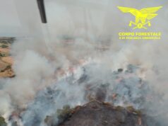 In Sardegna 11 roghi: elicotteri a Ozieri, Gergei e Usellus