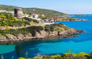 Ambiente, l’Asinara al Museo Marini di Firenze Isola dell’Asinara