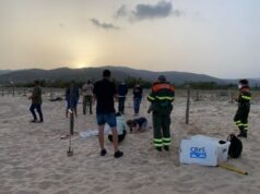 Tutela ambientale: a Chia il primo nido di Caretta caretta del 2021