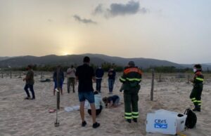 Tutela ambientale: a Chia il primo nido di Caretta caretta del 2021