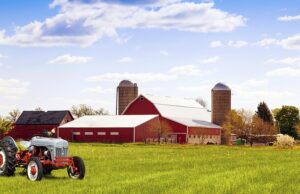 Coldiretti: Argea sblocca 70 milioni di euro per 36 mila aziende sarde