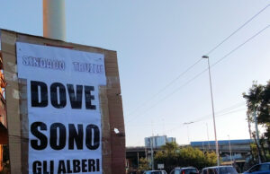 Olmi in viale Marconi, Piga (Arrosa): “Degli alberi promessi non c’è ancora traccia”