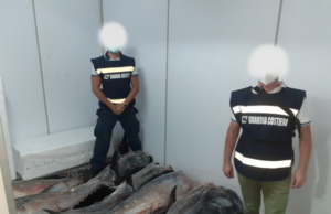 Pesca: Sant’Antioco, GC sequestra 1 tonnellata di Tonno rosso