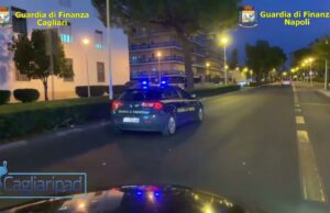 Stage cinofilo promosso dai Guardian Dogs, per cani da ricerca olfattiva