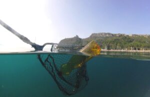 Puliamo la Sella: volontari in campo per salvare le tartarughe marine