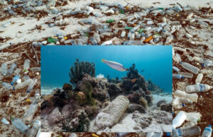 Stop alle bottiglie di plastica, Greenpeace avvia la raccolta firme