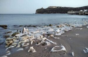 Sacchi di nylon al Poetto, Progressisti: “Ancora nessun accordo per rimuoverli”