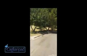 Degrado e sterpaglie al Margine Rosso, la denuncia dei cittadini