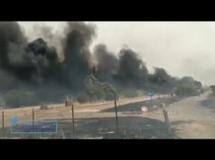 Vasto rogo a Villamar: sul posto un mezzo aereo della Forestale