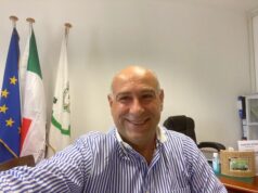 Olivicoltura, Tore Piana è il nuovo presidente del distretto agroalimentare