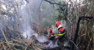 Incendi, brucia la Sardegna: 16 roghi, intervengono i mezzi aerei