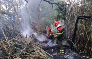 Incendi, brucia la Sardegna: 16 roghi, intervengono i mezzi aerei