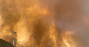 L’assessore Lampis: “In arrivo aiuti da Francia e Corsica”