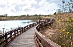 Cagliari, al via ripristino ponte nel Parco Terramaini