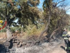 Incendi: diversi i roghi nell’Oristanese, sul posto i Vigili del fuoco