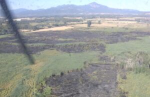 Sardegna bruciata da 30 incendi: in fumo 117 ettari