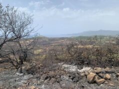 Il reportage fotografico da un territorio sfigurato