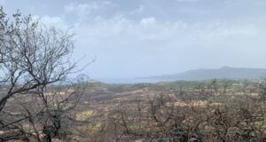 Il reportage fotografico da un territorio sfigurato