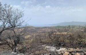 Il reportage fotografico da un territorio sfigurato