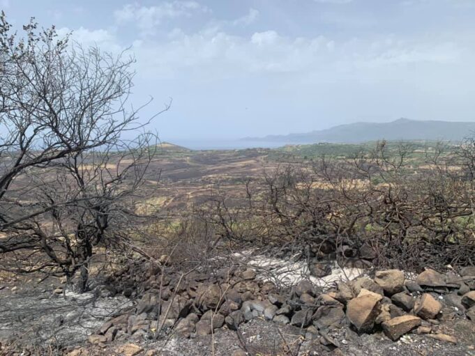 Il reportage fotografico da un territorio sfigurato