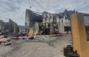 Coldiretti e Cia al fianco degli agricoltori: subito gli aiuti ai territori