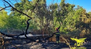 Incendi: 17 roghi sull’Isola, intervengono i mezzi aerei