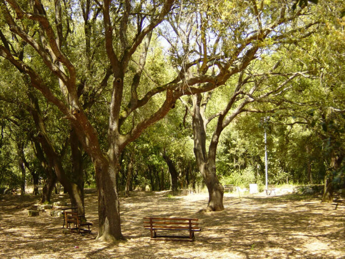 “Serviranno quindici anni per ripristinare boschi e attività umane”