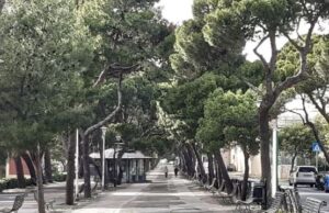 Cagliari, restyling viale Buoncammino: Polastri: “Servono regole certe”