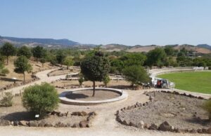 Masullas: al via sabato 24 luglio “Moda sotto le Stelle”