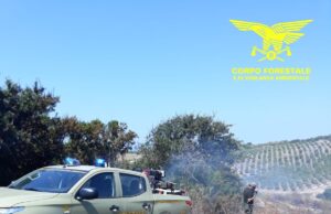 Vasto rogo a Villagrande: elicottero della Forestale si alza in volo