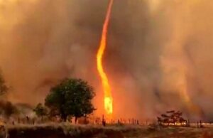 Fermare gli incendi si può, ma l’abbiamo dimenticato