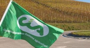 Anticipi PAC all’80% in Sardegna, la proposta di Cia-Agricoltori Italiani