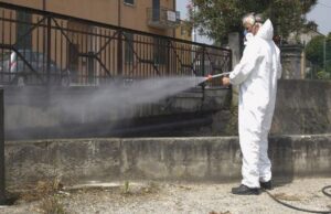 Cagliari, derattizzazione nell’Istituto Comprensivo Pirri 1 e Pirri 2