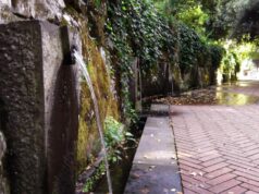 Cento volontari hanno salvato San Leonardo di Siete Fuentes