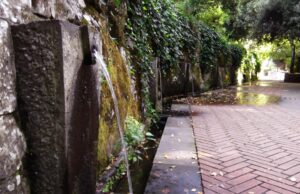 Cento volontari hanno salvato San Leonardo di Siete Fuentes